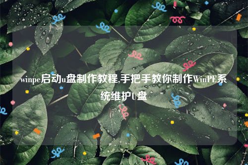 winpe启动u盘制作教程,手把手教你制作WinPE系统维护U盘