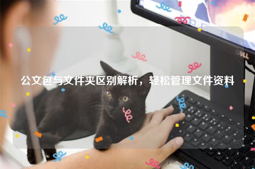 公文包与文件夹区别解析，轻松管理文件资料