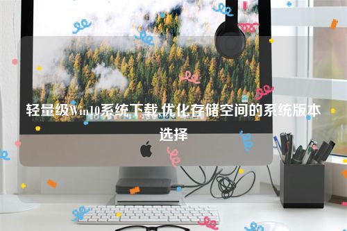 轻量级Win10系统下载,优化存储空间的系统版本选择