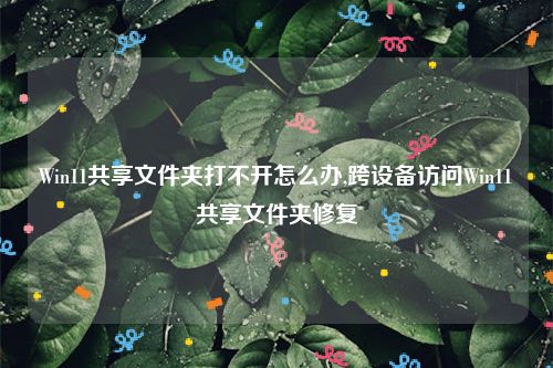 Win11共享文件夹打不开怎么办,跨设备访问Win11共享文件夹修复