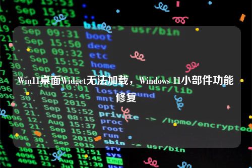 Win11桌面Widget无法加载，Windows 11小部件功能修复